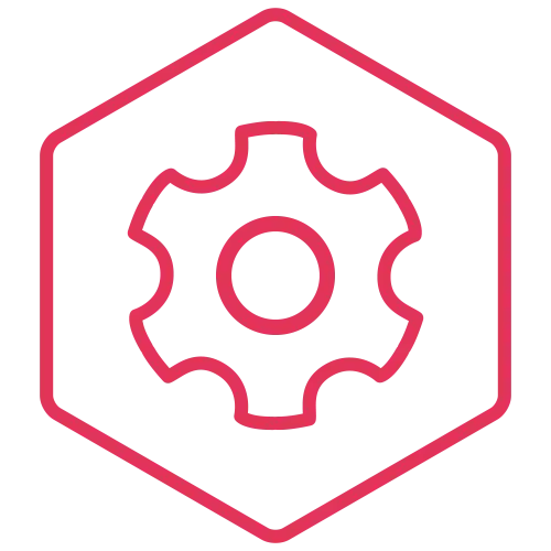 Settings icon: pink gear inside a hexagonal outline, indicating configuration options