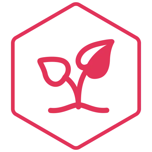 Pink hexagon outline containing a stylized seedling sprout, logo-style image for growth or sustainability.