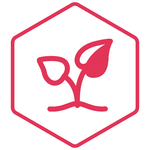 Red seedling growing inside a hexagonal outline badge